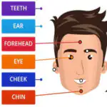 Partes de la cara en inglés para niños: une y aprende