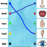 Ilustración infantil de los cinco sentidos con las palabras en inglés sight, hearing, smell, taste y touch