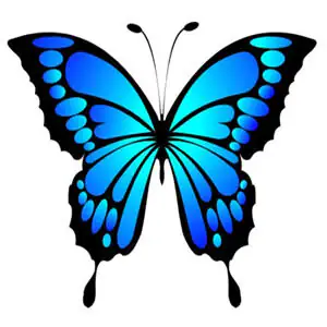 Ilustración de una mariposa azul con las alas simétricas, usada para representar un test de imágenes simétricas.